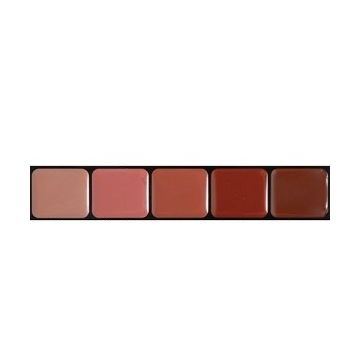 Lipcolor Palette 5 couleurs Fashion - Homme