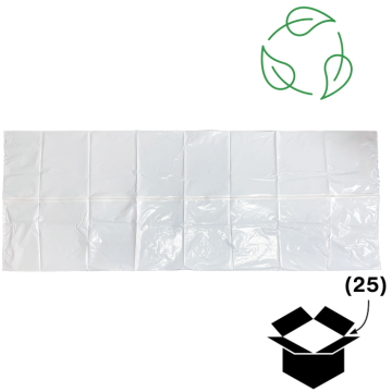 fp000009-bio-(1).png