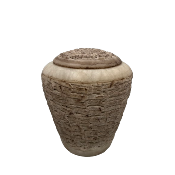image00041-removebg-preview.png
