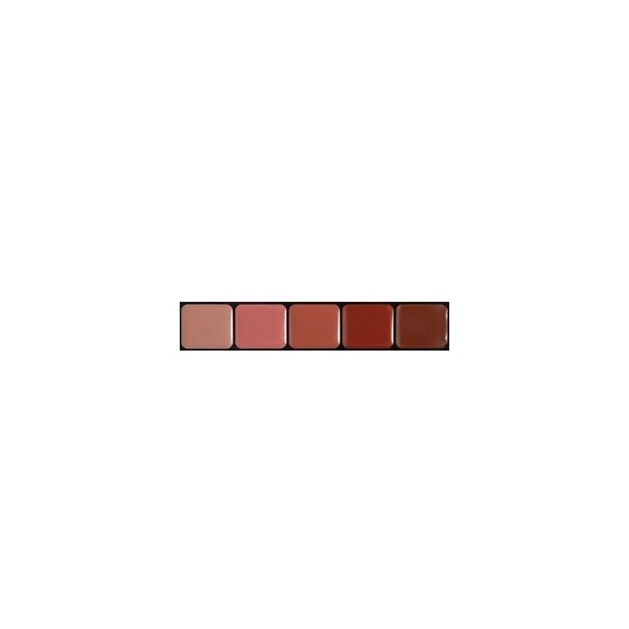 Lipcolor Palette 5 couleurs Fashion - Homme