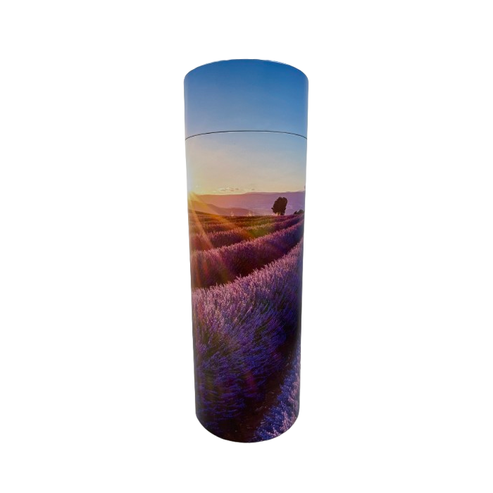 champ_de_lavande-urne-dispersion.png
